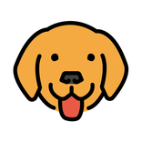 Barks and Meows – Pet Health