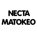 Necta Results