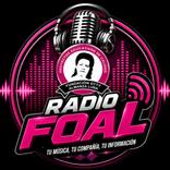 Radio Foal