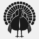 AI Turkey Scanner