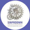 App SINPRODMH icon