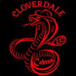 ”Cobra Connect