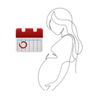 Gestogram: Calculator simgesi