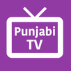 Punjabi TV Channels APK