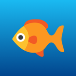 Flappy Fish: Arcade Run Game