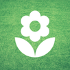 Chives APK
