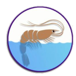 Aquatricks