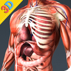 Human Anatomy And Physiology APK