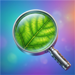 Magnifier & Magnifying Glass