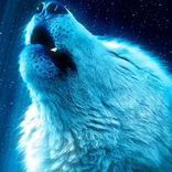 Wolf Wallpaper HD