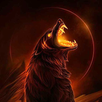 Wolf Wallpapers HD APK