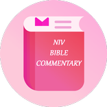 NIV Bible Notes