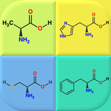 ”Amino Acids: Quiz & Flashcards