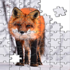 Fox jigsaw match puzzle APK