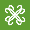CloverPool - Multi-coins Pool APK