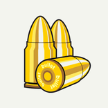 Bullet Ballistics