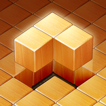 Walnut Wood Block Puzzle