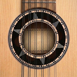 Charango: Tuner, Chords, Learn