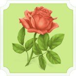 Flower Pairs