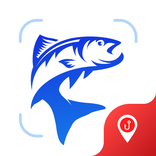 Fish Identifier - Fish Picture