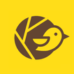 Baya - Small Business Website icon