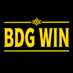 BDG WIN icon