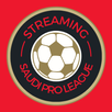 Streaming Liga Arab Pro 2023 APK