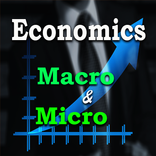 Economics Macro and Micro