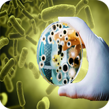 Bacteria - Infections and Type APK