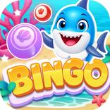 Big Bay Bingo