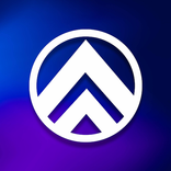 Impact Timisoara