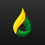 Bishkek Petroleum