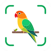 Bird Identifier - BirdAiSnap APK