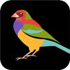 Bird Sound APK