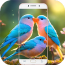 Bird Wallpaper HD APK