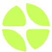 BixPay icon