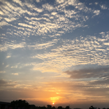 Sky LWP