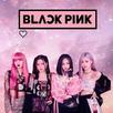 Black Pink Fan Chat APK