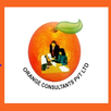 ORANGE SILVER APK