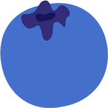 Blueberry VPN