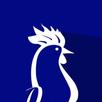 BlueRoosterApp APK