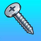 Bolt Puzzle