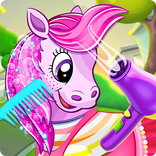 Pet Horse Salon