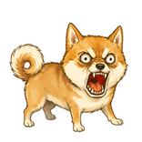 Bow Wow Doge Battle