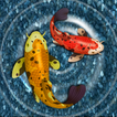 Fish Live Aquarium Wallpaper icon