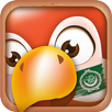 Learn Arabic Phrasebook APK