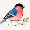 Brushstroke icon