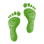 Pedometer