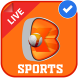 BTANO SPORTS RULES FOR BTANO