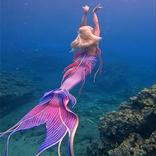 Mermaid Wallpaper